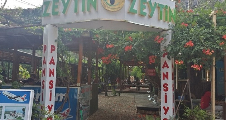 Olympos Zeytin Tüm Yıl Açık